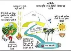 વૈદિક ખેતી પદ્ધતિઃ યજ્ઞ સાથે ખેતી (અગ્નિહોત્ર ફાર્મિંગ)