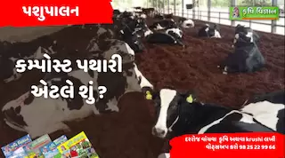પશુપાલન